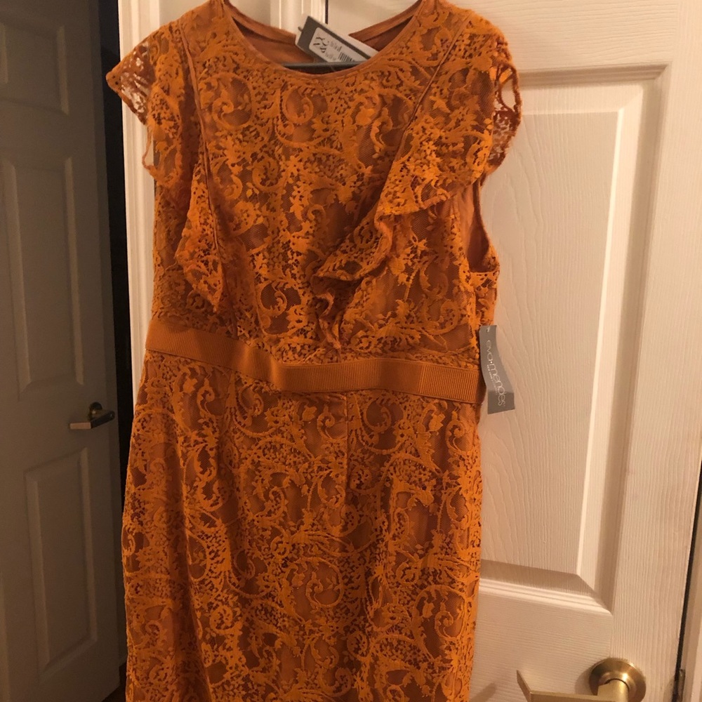 New York & CO. Lace Dress